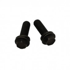 1967-72 Fuel Pump Mntg Bolts, BB