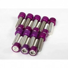 Rick's Camaro - Intake Manifold Bolt Kit With Billet Cup Washers, Big Block, 1967-1985