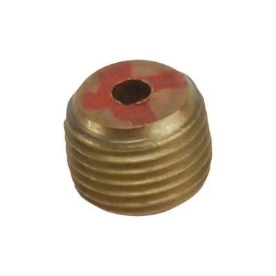 1/8" NPT Purge Plug