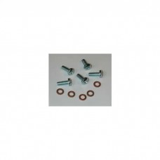 Gas Tank Sending Unit Screws,49-60