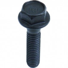Rocker Arm Bolt