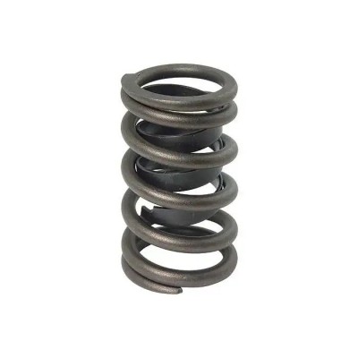 Valve Spring Int/exh W/damper