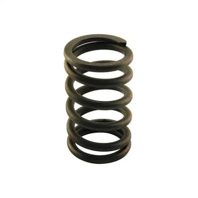 Valve Spring/ Int/exh/no Dampr