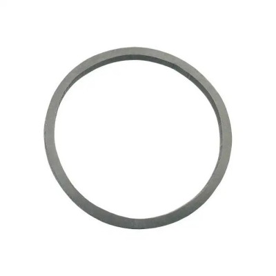 Fuel Pump Canister Seal - Rubber