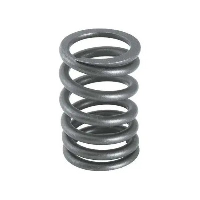 1965-1969 Valve Spring - Ford & Mercury