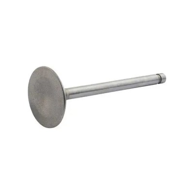 1963-70 Ford & Mercury Intake Valve