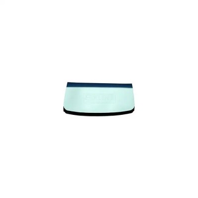 Windshield Glass, Hardtop, Fastback, Convertible, Fairlane,Torino, Ranchero, 1968-69