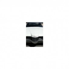1970 Ford Thunderbird Windshield For 4Door Hard Top With Antenna