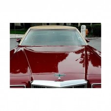 1977-79 Thunderbird Windshield