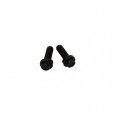 1967-72 Fuel Pump Mntg Bolts, BB