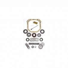 Differential Rebuild Kit, 1980-1982